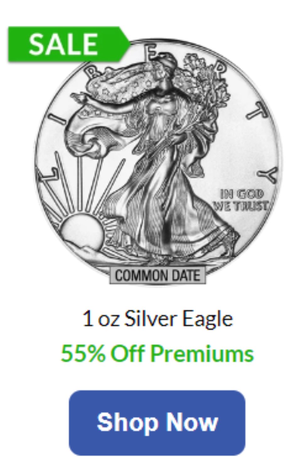 1 oz American Silver Eagle Coin (Common Date)