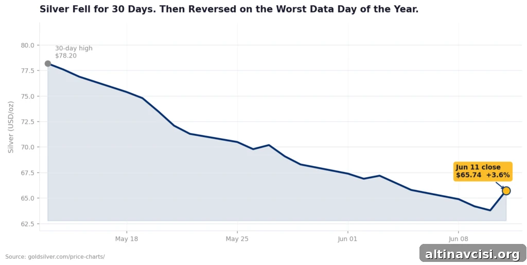 Silver spot price 30-day chart showing a decline from $78.20 on May 13 to a session low of $61.49 on June 11, 2026, followed by a recovery close at $65.74, up 3.6% on the day.