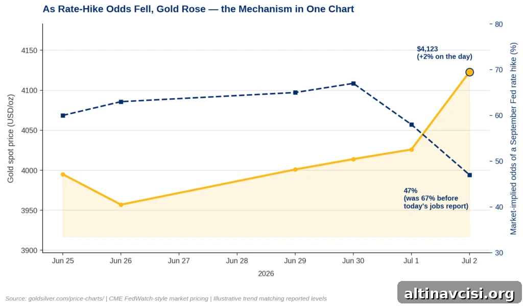 Jobs Report Misses Expectations, Unemployment Falls — Gold Unmoved 3 Line chart showing the gold price unemployment rate mechanism: gold rising from about $4,000 to $4,123 as CME FedWatch odds of a September Fed rate hike fall from 67% to 47%, June 25 to July 2, 2026.