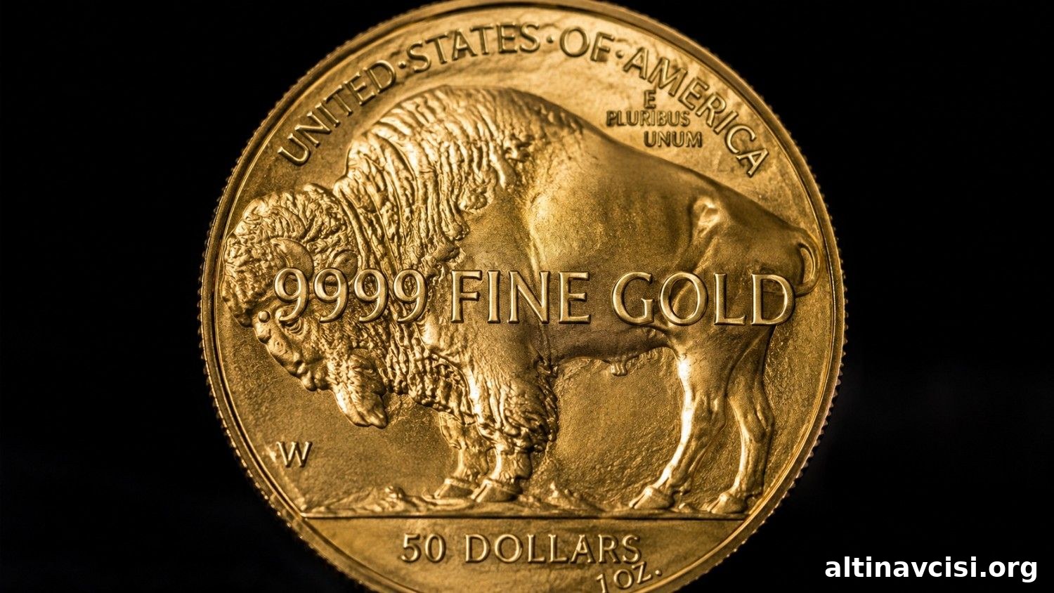 featured 178002