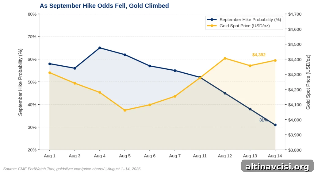 Dual-axis line chart showing the inverse relationship between the September 2026 Federal Reserve rate hike probability and the gold spot price from August 1 to August 14, 2026. The blue line representing hike probability falls from 58% on August 1 to 31% on August 14. The gold line representing the spot price drops from $4,311 on August 1 to a low of $4,062 on August 5, then recovers to $4,392 by August 14 as hike odds decline.