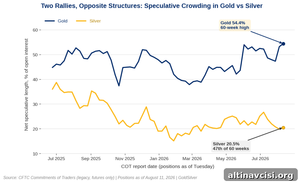 Gold's Speculative Crowd Hits 60-Week High, Yet Few Bought 2 Line chart comparing gold and silver net speculative length as a share of open interest across 60 weeks to August 11, 2026, with gold at a 60-week high of 54.4% and silver at 20.5%