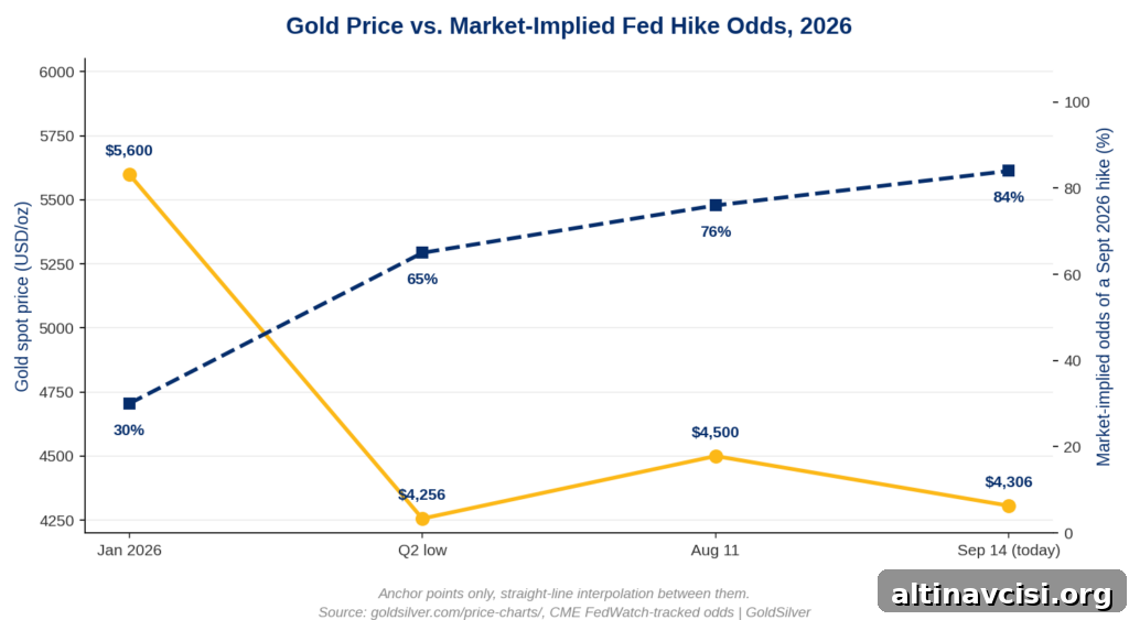 Why Gold Isn't Worried About the First Rate Hike 2 Line chart showing gold's spot price falling from a $5,600 January 2026 record to a $4,256 Q2 low, then rebounding to $4,500 by August 11 and $4,306 by September 14, plotted against market-implied Fed hike odds rising from 30% in late July to 84% in mid-September 2026.